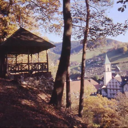 Lejlighed Fuerstenkopf *