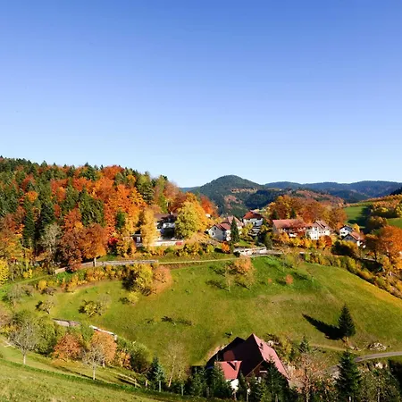 Fuerstenkopf Apartment Bad Peterstal-Griesbach