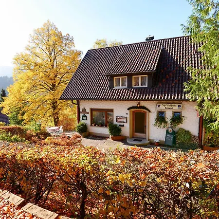 Lejlighed Fuerstenkopf