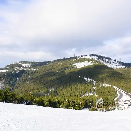 Fuerstenkopf * Bad Peterstal-Griesbach