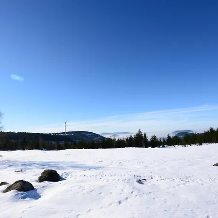 Fuerstenkopf * Bad Peterstal-Griesbach