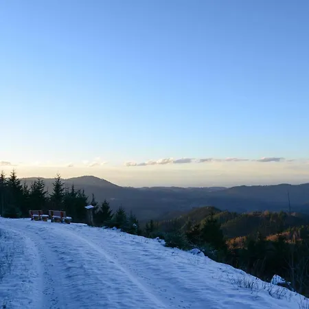 Lejlighed Fuerstenkopf