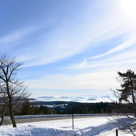 Lejlighed Fuerstenkopf Bad Peterstal-Griesbach