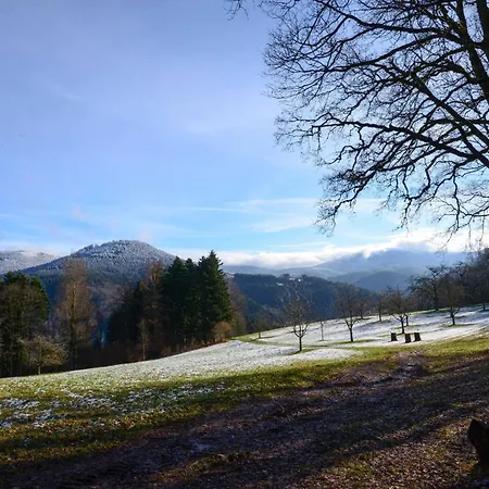 Lejlighed Fuerstenkopf Bad Peterstal-Griesbach