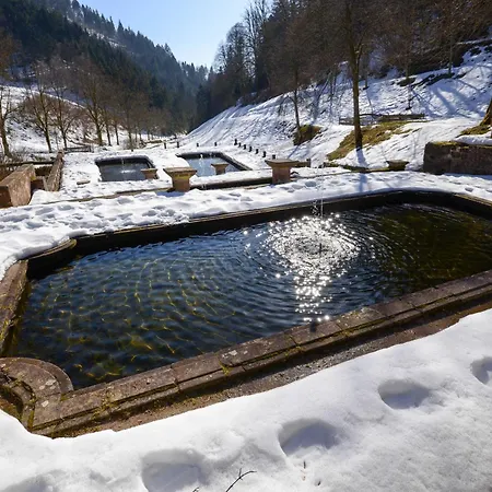 Lejlighed Fuerstenkopf Bad Peterstal-Griesbach