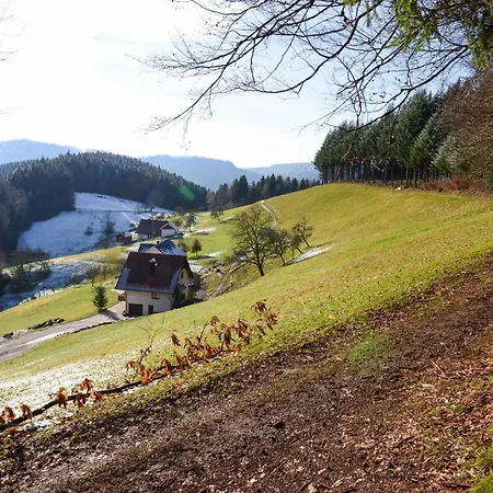 Fuerstenkopf Lejlighed