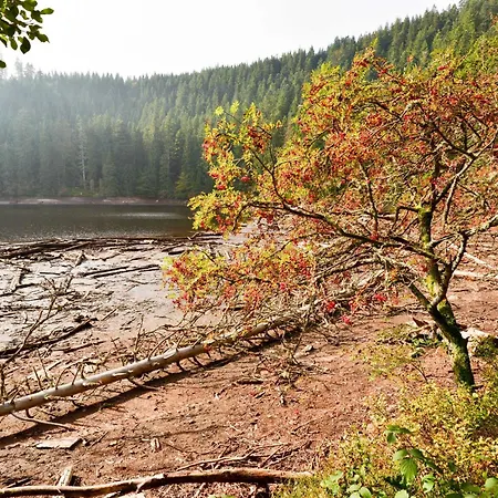 Fuerstenkopf * Bad Peterstal-Griesbach