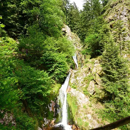 Lejlighed Fuerstenkopf Bad Peterstal-Griesbach
